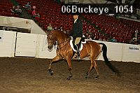 06buckeye_1054 proof