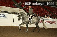 06buckeye_1055 proof