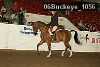 06buckeye_1056 proof