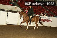 06buckeye_1058 proof