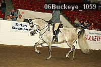06buckeye_1059 proof