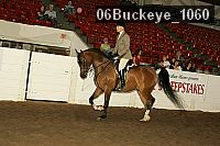 06buckeye_1060 proof