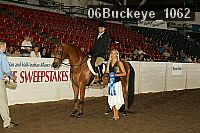06buckeye_1062 proof