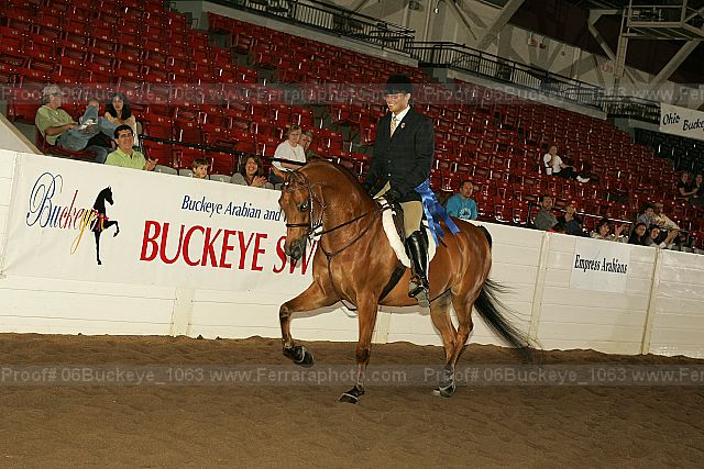 Proof 06buckeye_1063