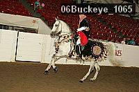 06buckeye_1065 proof