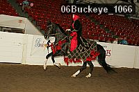 06buckeye_1066 proof