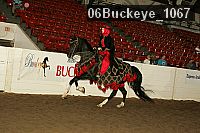 06buckeye_1067 proof