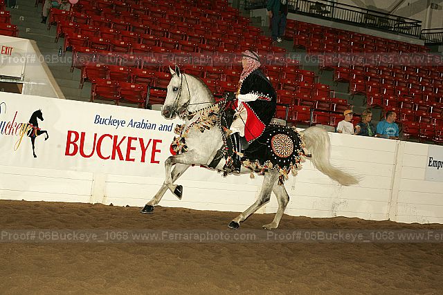 Proof 06buckeye_1068