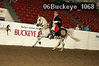 06buckeye_1068 proof