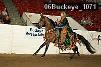 06buckeye_1071 proof