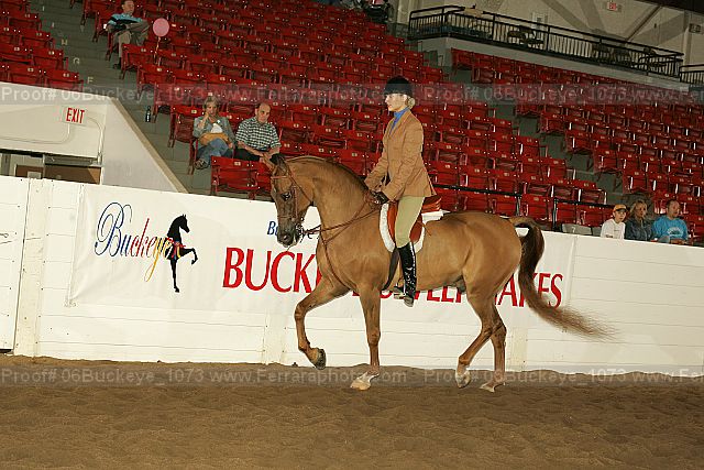 Proof 06buckeye_1073