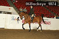 06buckeye_1074 proof