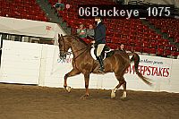 06buckeye_1075 proof