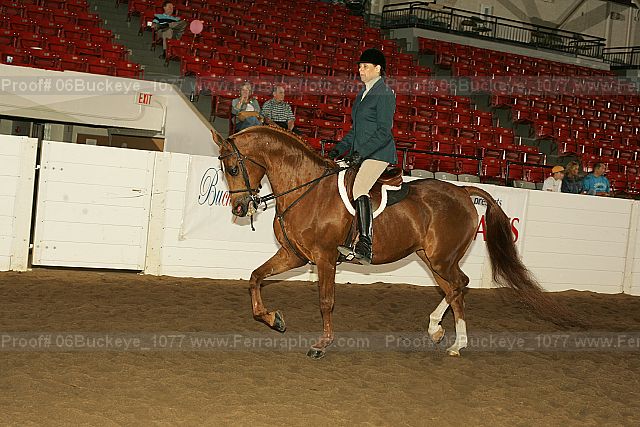 Proof 06buckeye_1077