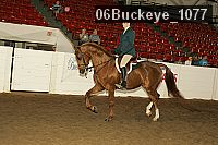 06buckeye_1077 proof