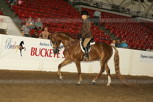 Proof 06buckeye_1079