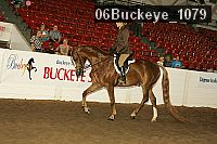 06buckeye_1079 proof