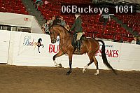 06buckeye_1081 proof
