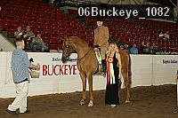 06buckeye_1082 proof
