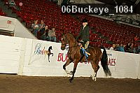 06buckeye_1084 proof