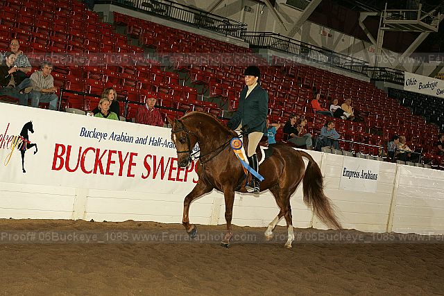 Proof 06buckeye_1085