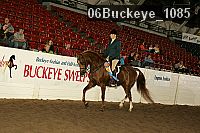 06buckeye_1085 proof