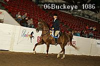 06buckeye_1086 proof