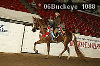 06buckeye_1088 proof