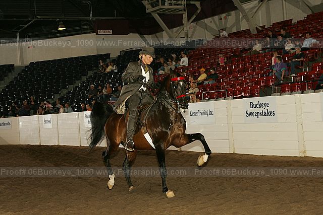Proof 06buckeye_1090