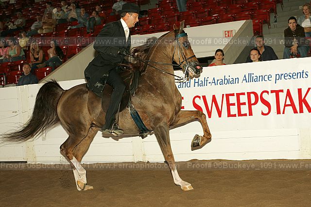 Proof 06buckeye_1091
