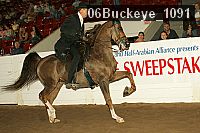 06buckeye_1091 proof