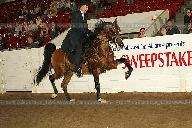Proof 06buckeye_1092