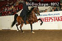 06buckeye_1092 proof