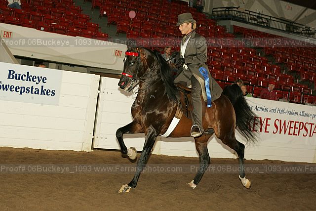 Proof 06buckeye_1093