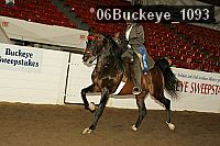 06buckeye_1093 proof