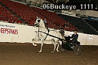 06buckeye_1111 proof