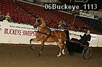 06buckeye_1113 proof