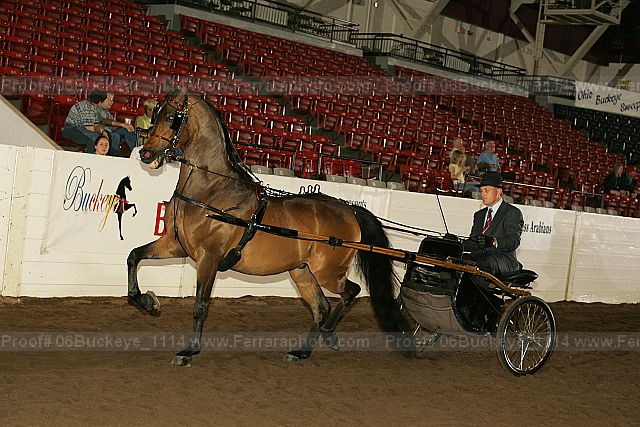 Proof 06buckeye_1114