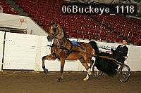06buckeye_1118 proof