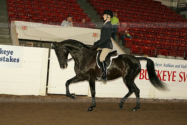 Proof 06buckeye_1121