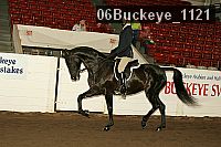 06buckeye_1121 proof