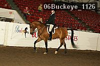 06buckeye_1126 proof