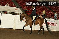 06buckeye_1127 proof