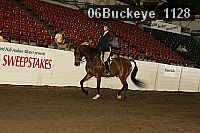 06buckeye_1128 proof