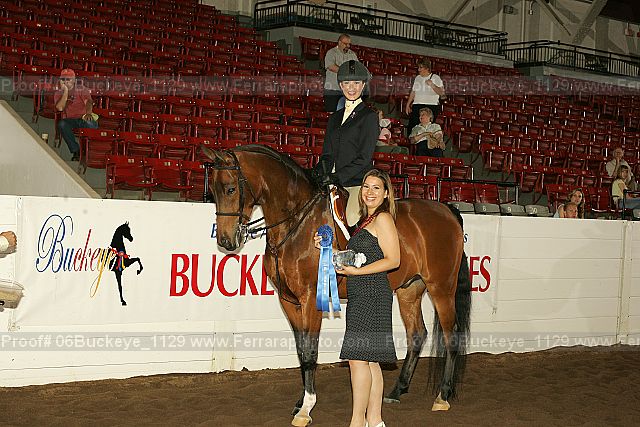 Proof 06buckeye_1129
