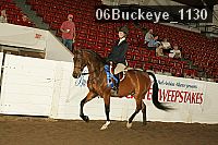 06buckeye_1130 proof
