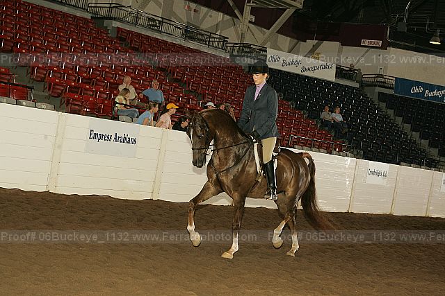 Proof 06buckeye_1132
