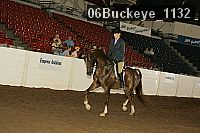 06buckeye_1132 proof