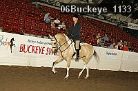 06buckeye_1133 proof