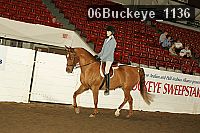 06buckeye_1136 proof